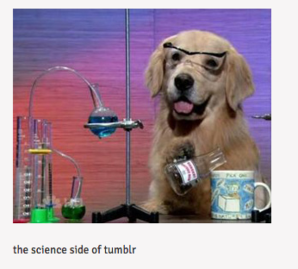science of dogs science the science side of your meme science of dogs science the science side of your meme
