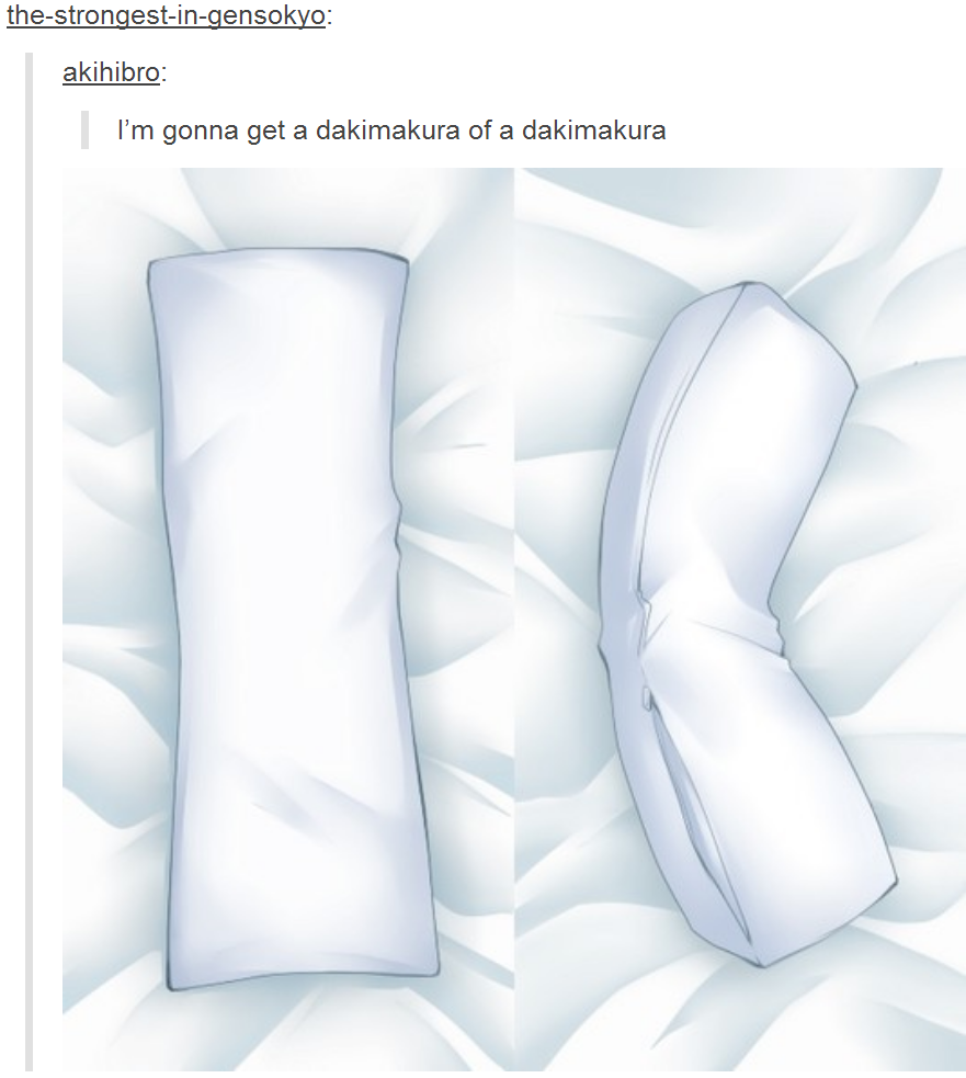  Image 776034 Dakimakura Body Pillow Know Your Meme