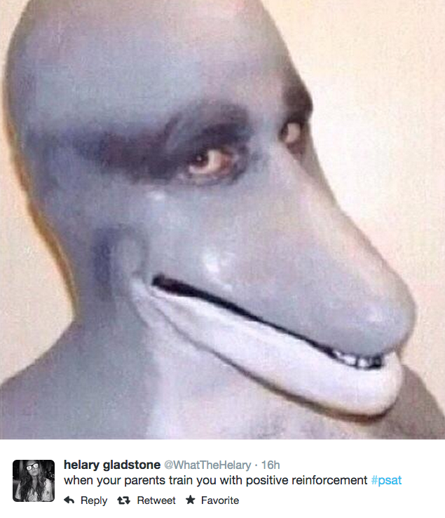 psat know your meme 3df psat know your meme