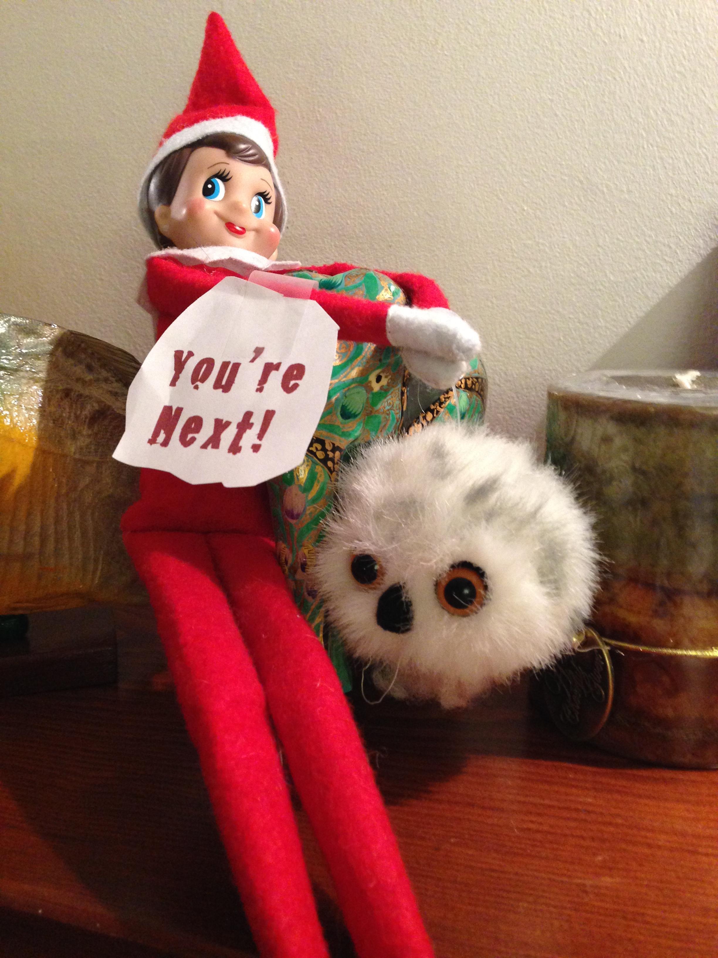 elf on the shelf you are next Elf on the Shelf Know