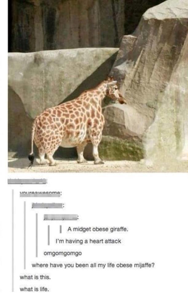 Midget and giraffe Being anal fucked