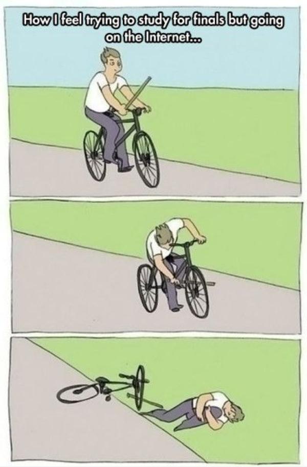 379.jpeg