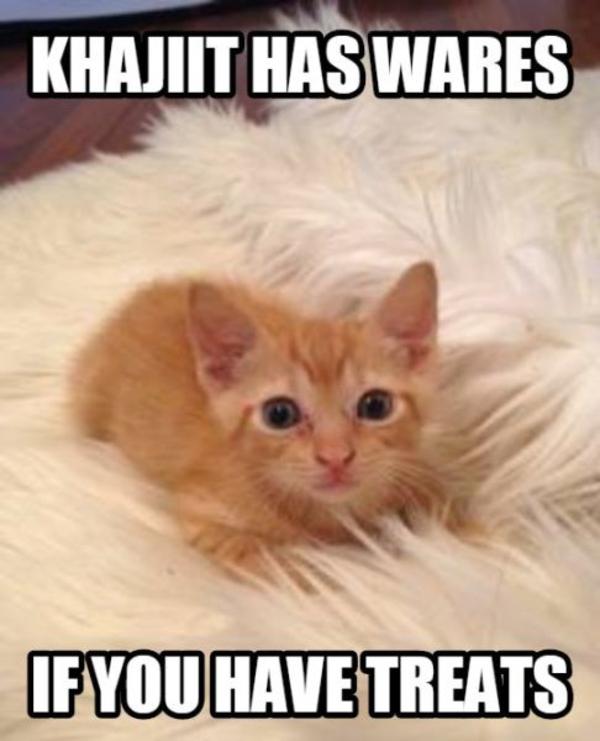 Cute Dog And Cat Pictures With Captions Cute Dog And Cat Pictures With Captions