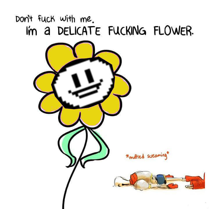 He's a Delicate Flower Undertale Know Your Meme