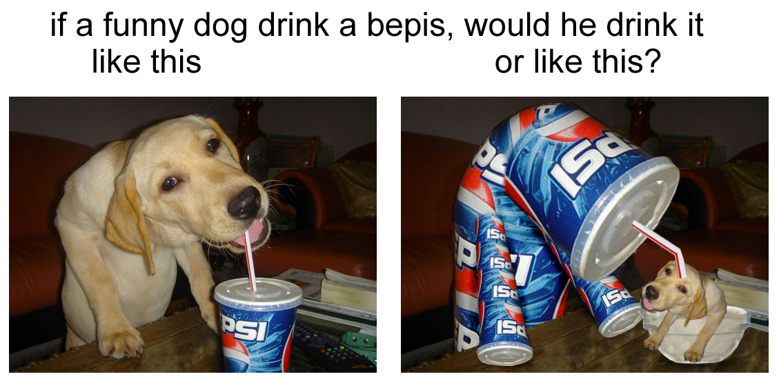 bepis How Should a Dog Wear Pants? Know Your Meme