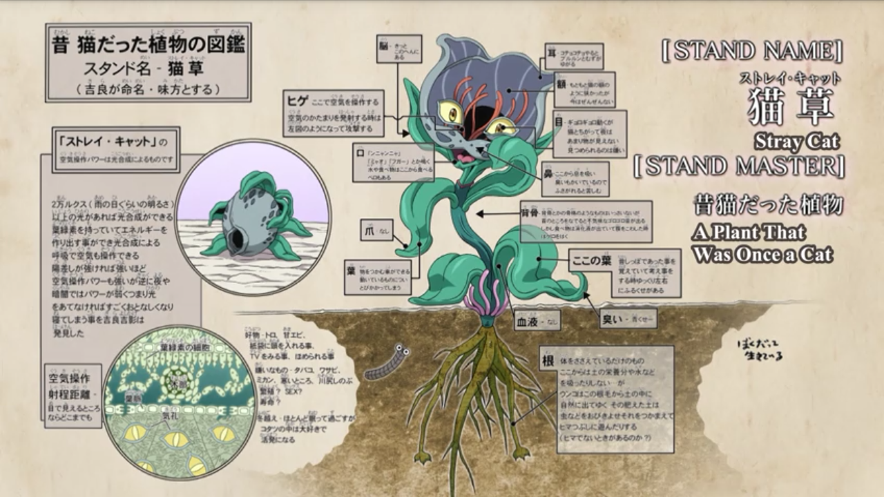 Plant biology of a stray cat JoJo's Bizarre Adventure Know Your Meme
