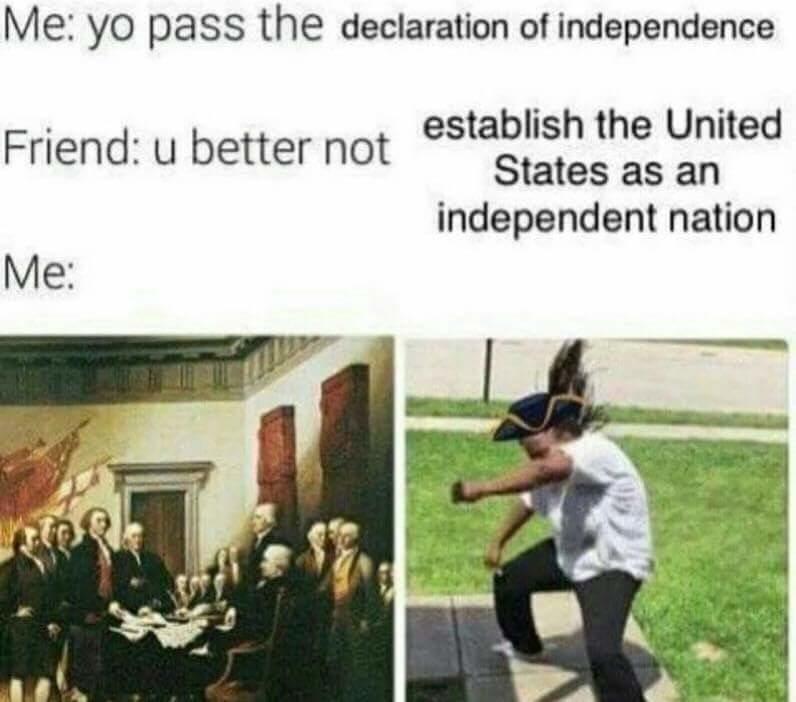 Yo Pass The Declaration Of Independence Hand Me the Aux Cord Know
