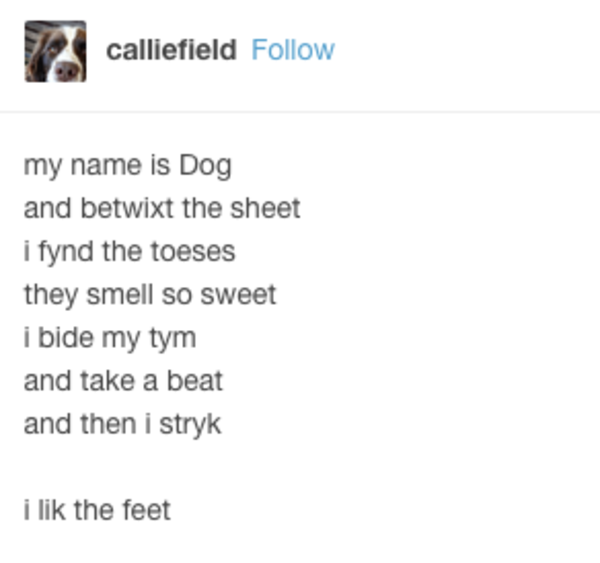 i lik the bred\ 98d i lik the bred\