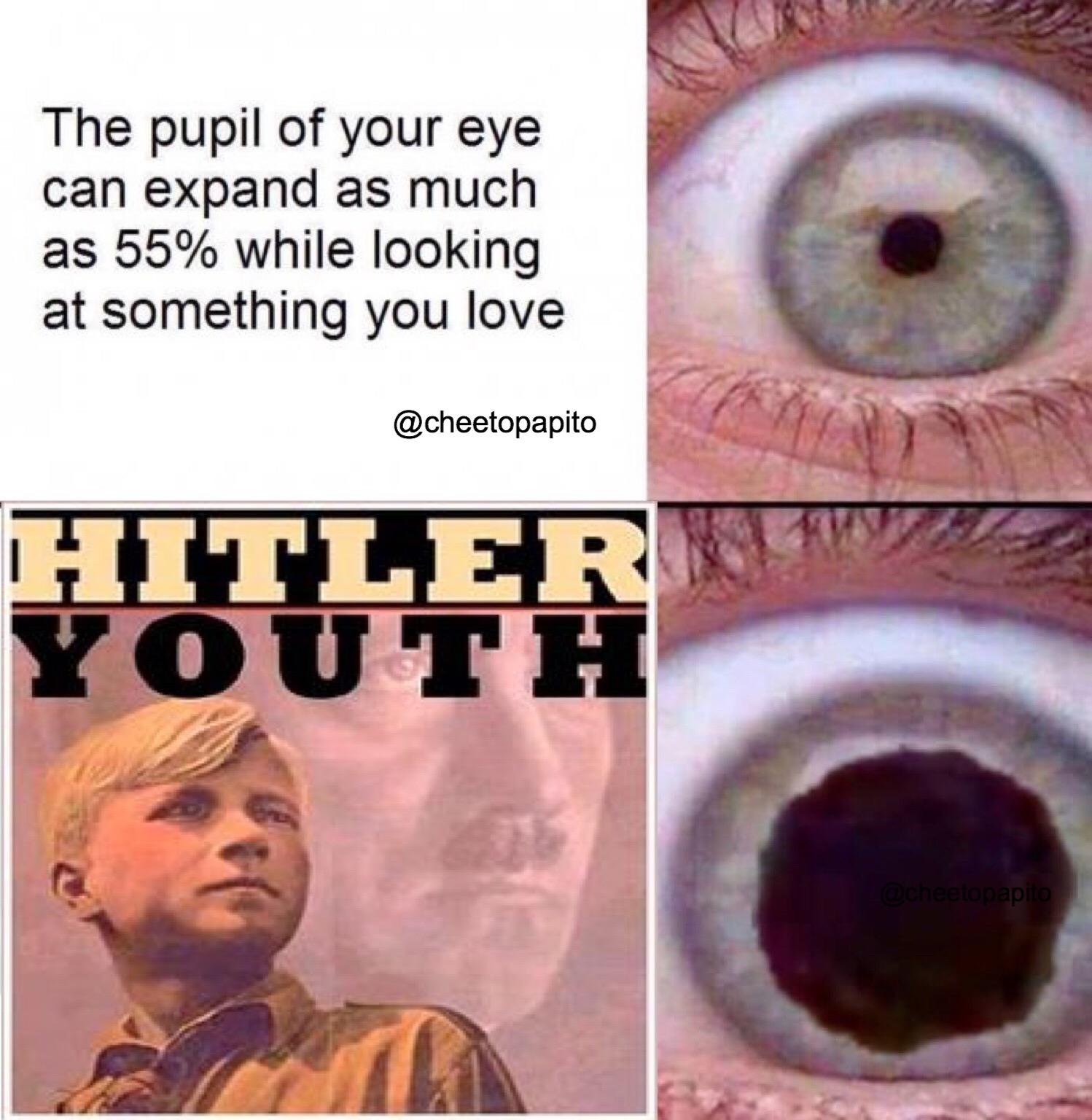 expanding pupil image gallery know your meme f4a expanding pupil image gallery know your meme