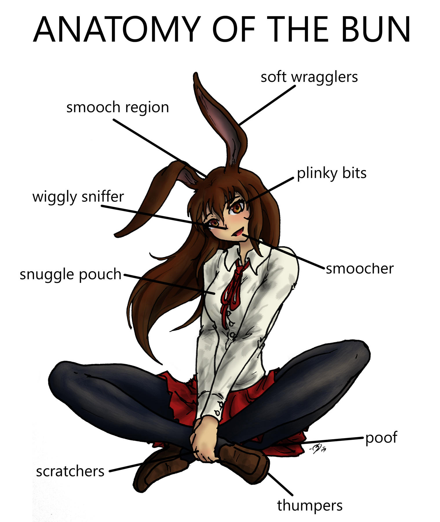 Anatomy of the Bun | RWBY | Know Your Meme