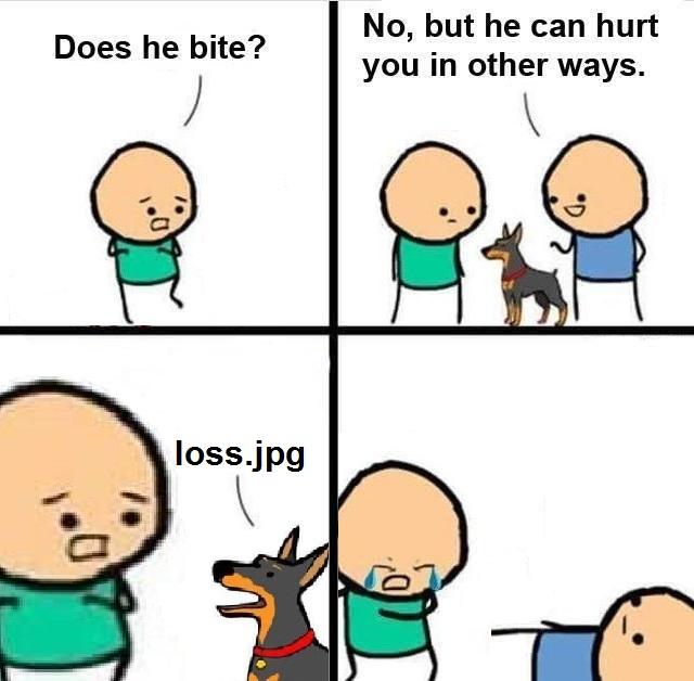 cahbortion dog jpg does he bite? know your meme 4f9 cahbortion dog jpg does he bite? know your meme,Does Your Dog Bite Meme