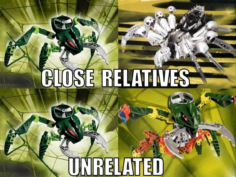 bionicle visorak instructions