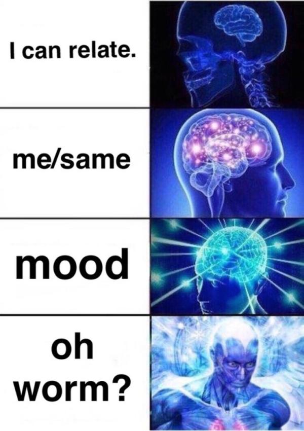 Expanding BRain Oh, Worm? Know Your Meme