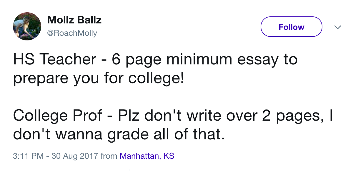 Short Paper High School Teacher vs. College Professor Know Your Meme