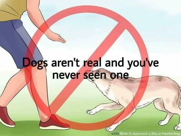 Dogs are NOT real WikiHow Know Your Meme