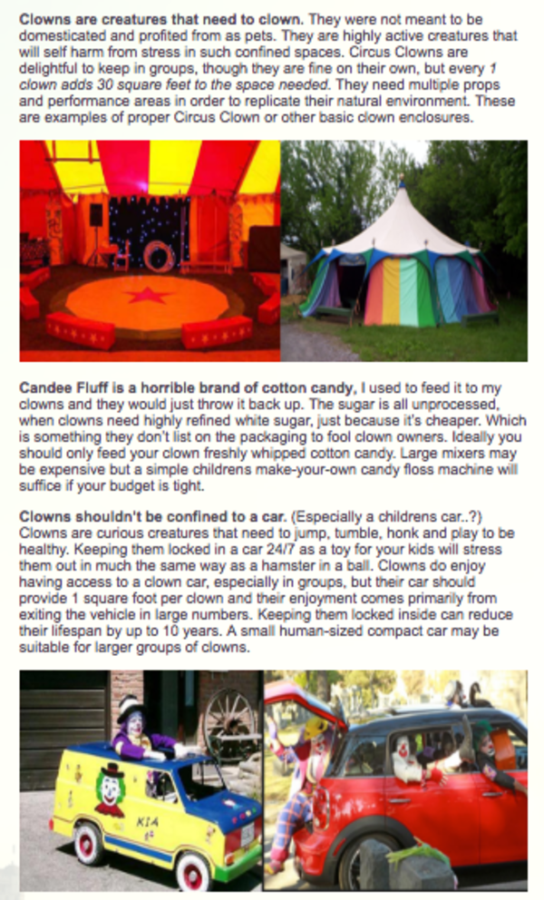 Imaginative essay on if i were a clown 05 image