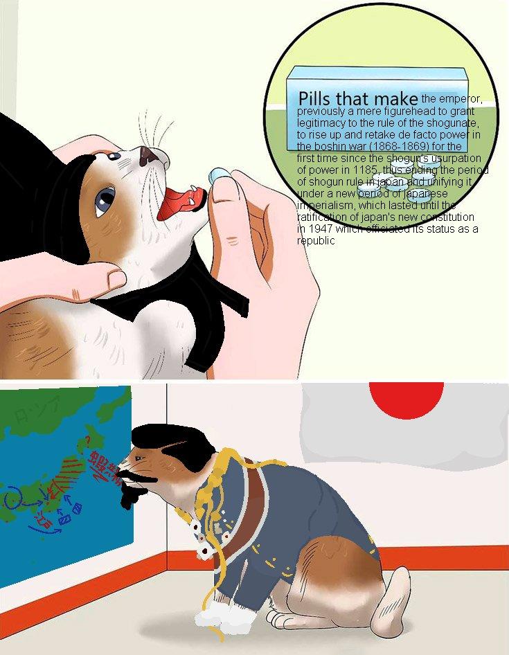 pills that make you stare image gallery know your meme f53_large pills that make you stare image gallery know your meme