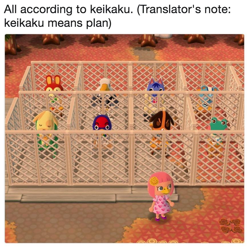 animal crossing pocket camp maintenance times animal crossing pocket camp maintenance times