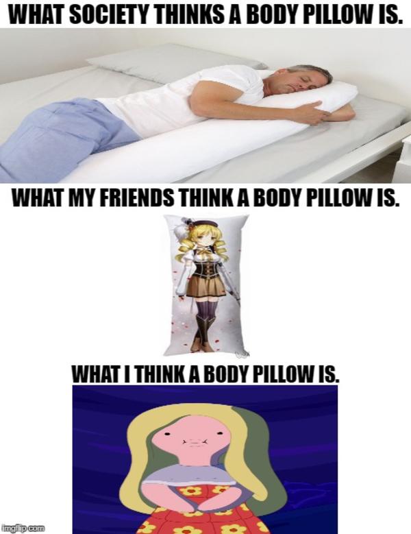 The Different Perspectives of Body Pillows Adventure Time Know Your