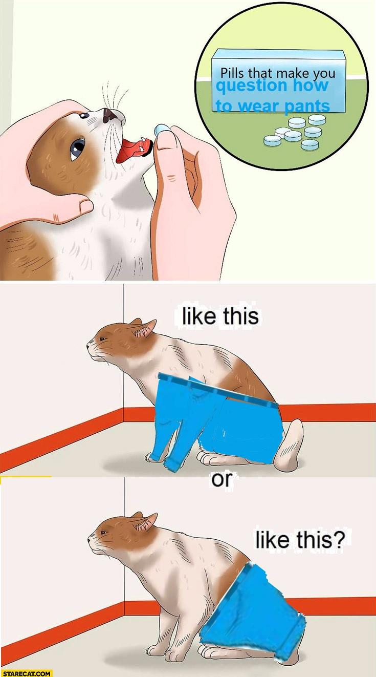 Pills that make you question how to wear pants Pills That Make You Stare Know Your Meme