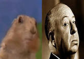 Dramatic Chipmunk / Drama Prairie Dog