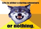 Courage Wolf
