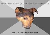 Depression Dog