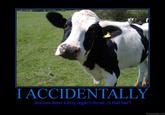 I Accidentally