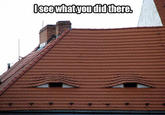 I See What You Did There