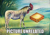Picture Unrelated