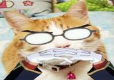 The Gendo Pose