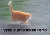 VTEC just kicked in, yo!