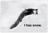 LOLcats