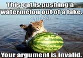 Your Argument is Invalid