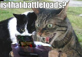 Battletoads Preorder