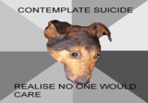 Depression Dog