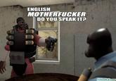 English, Do You Speak It? / Does He Look Like A Bitch? / Say "what" Again.
