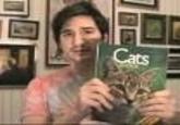 Kittens Inspired By Kittens