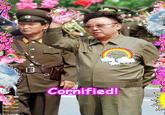 Cornify