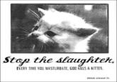 Every time you masturbate, God kills a kitten