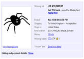 Paying Bills with Spider Drawings (Seven-Legged Spider)