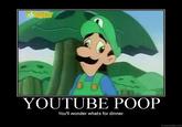 YouTube Poop