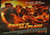 Snakes on a Plane