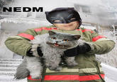NEDM