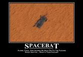 Space Bat