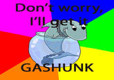 Rhyming pet Shark