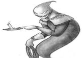 Candlejack