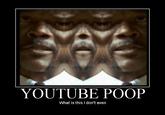 YouTube Poop