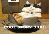 Cool Story, Bro