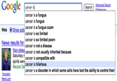 Google Search Box Suggestions